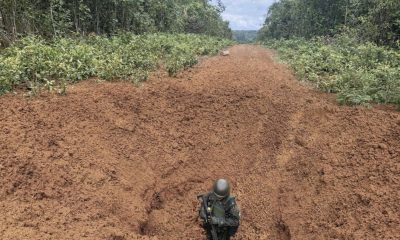 comando-conjunto-catrimani-ii-