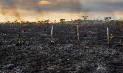 desmatamento-ja-reduziu-chuvas