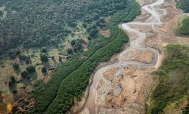 desmatamento-na-amazonia-eleva