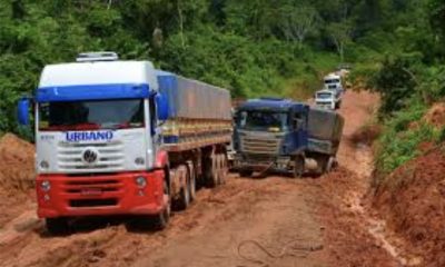 diagnostico-do-governo-eederal