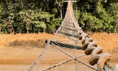 dnit-usa-cameras-trap-para-red