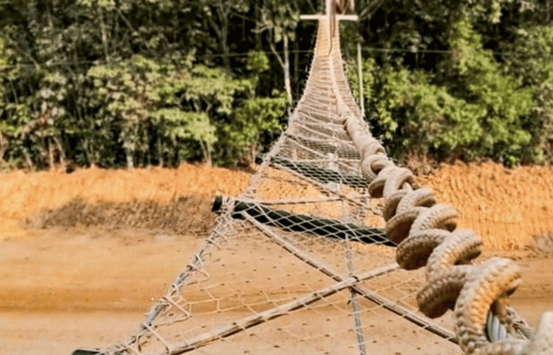 dnit-usa-cameras-trap-para-red