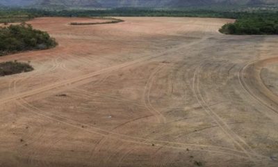 exportadores-de-soja-deixam-ac