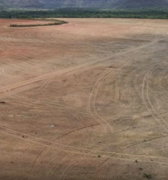 exportadores-de-soja-deixam-ac