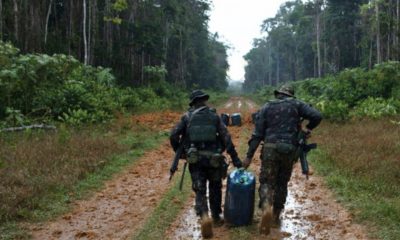 garimpo-ilegal-tem-queda-de-98