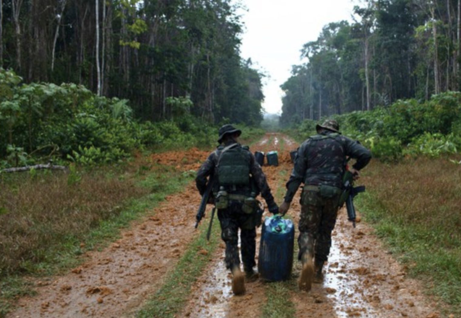 garimpo-ilegal-tem-queda-de-98