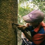 governo-federal-define-novos-v