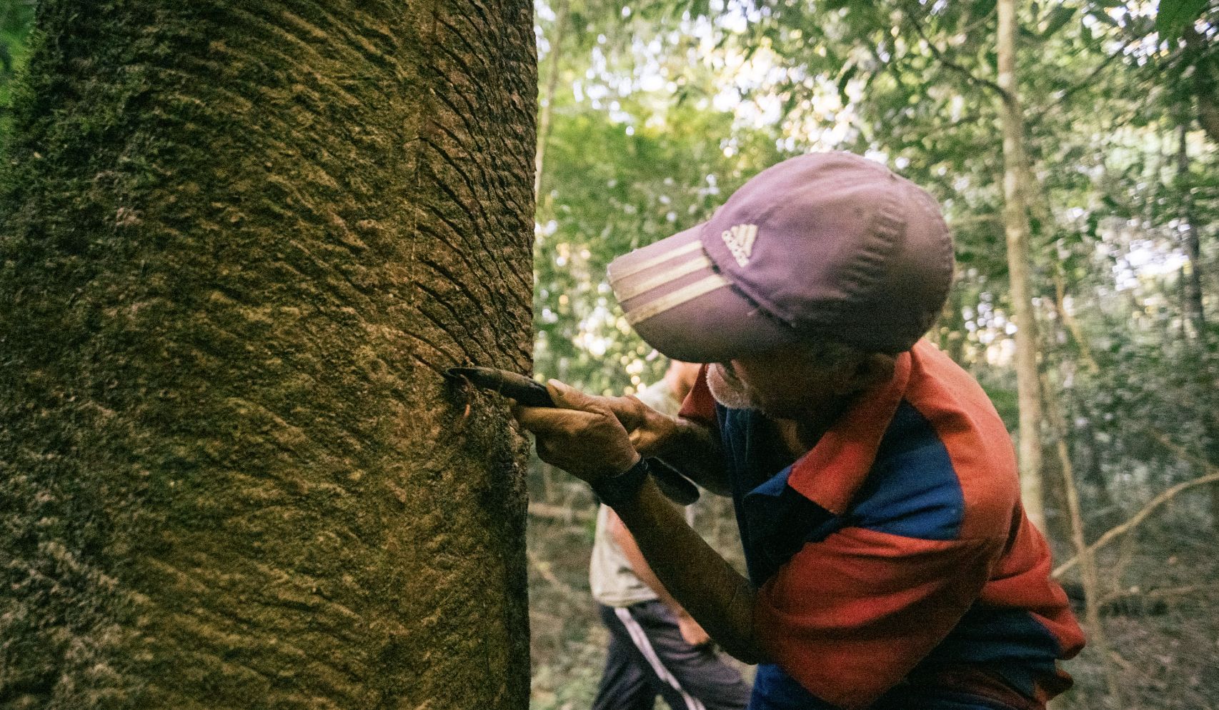 governo-federal-define-novos-v