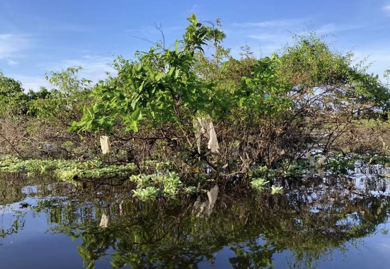 governo-federal-nao-fiscaliza-