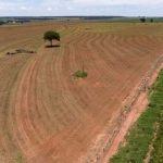 greenpeace-alerta-para-risco-d