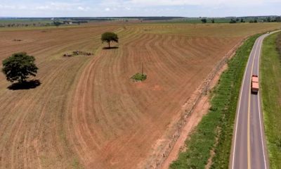 greenpeace-alerta-para-risco-d