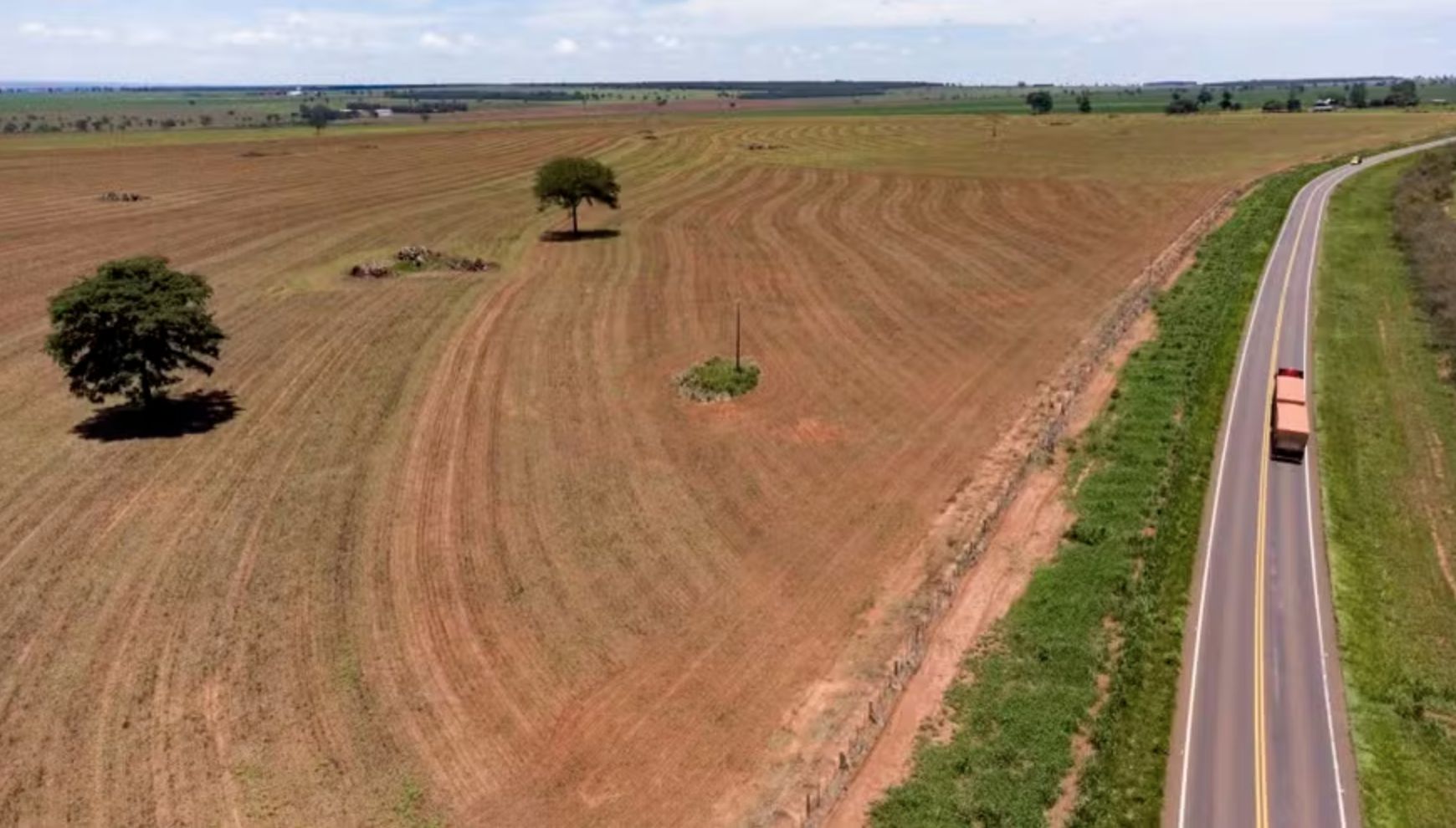 greenpeace-alerta-para-risco-d