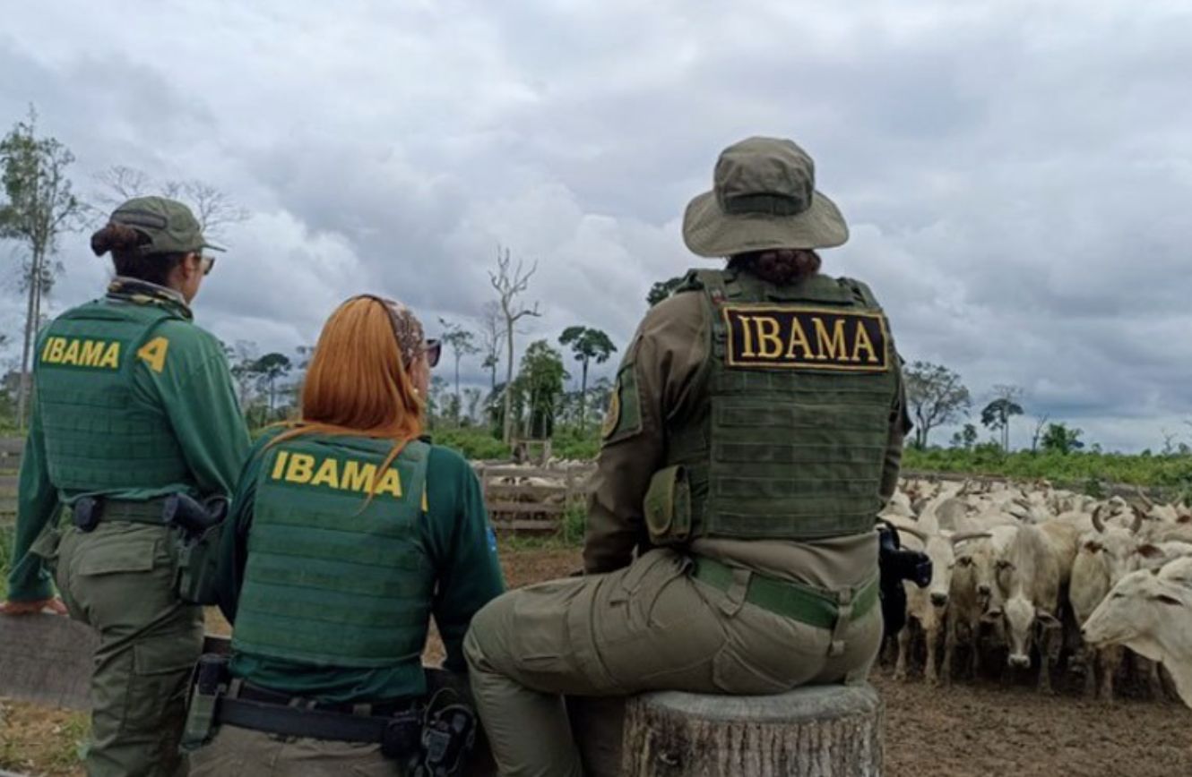 ibama-tem-r-950-mi-em-multas-p