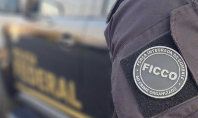 integrante-do-nucleo-financeir