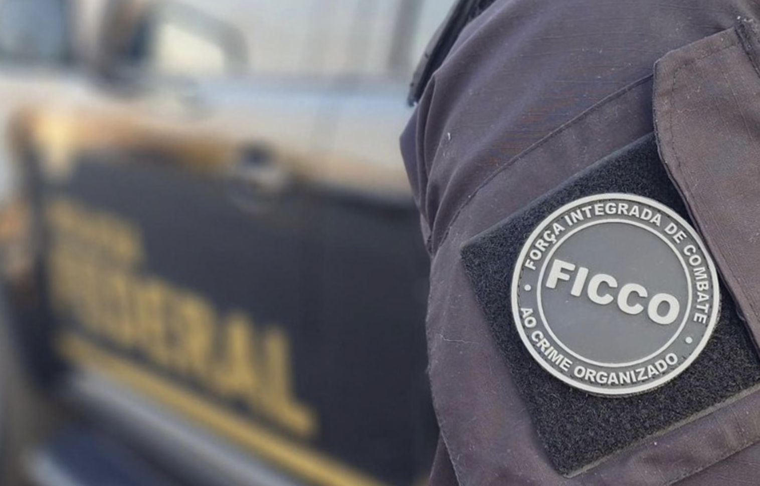 integrante-do-nucleo-financeir