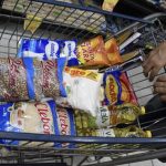 manaus-e-a-2a-capital-do-pais-