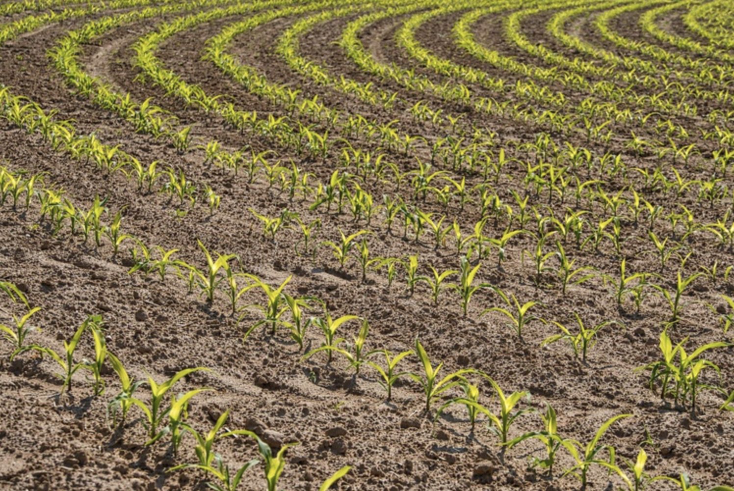 microcredito-produtivo-na-amaz