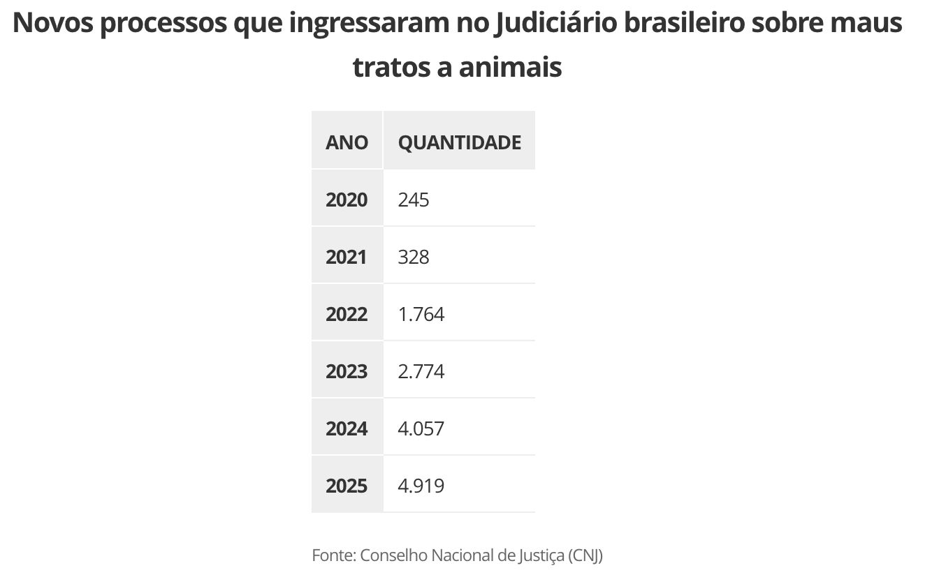 morte-do-cao-orelha-com-salto-