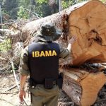 no-amazonas-62-da-exploracao-m