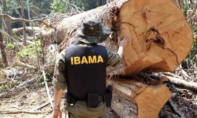 no-amazonas-62-da-exploracao-m