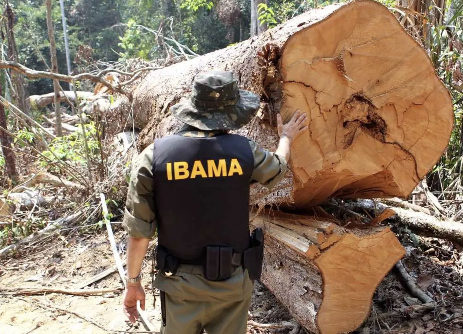 no-amazonas-62-da-exploracao-m