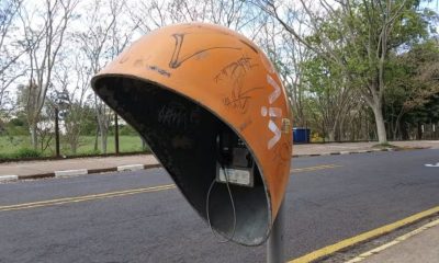 orelhoes-serao-retirados-das-r