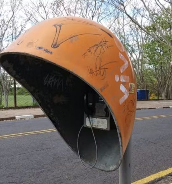 orelhoes-serao-retirados-das-r