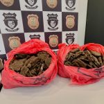 pc-am-apreende-r-195-milhoes-e