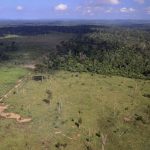 pecuarista-e-condenado-a-pagar