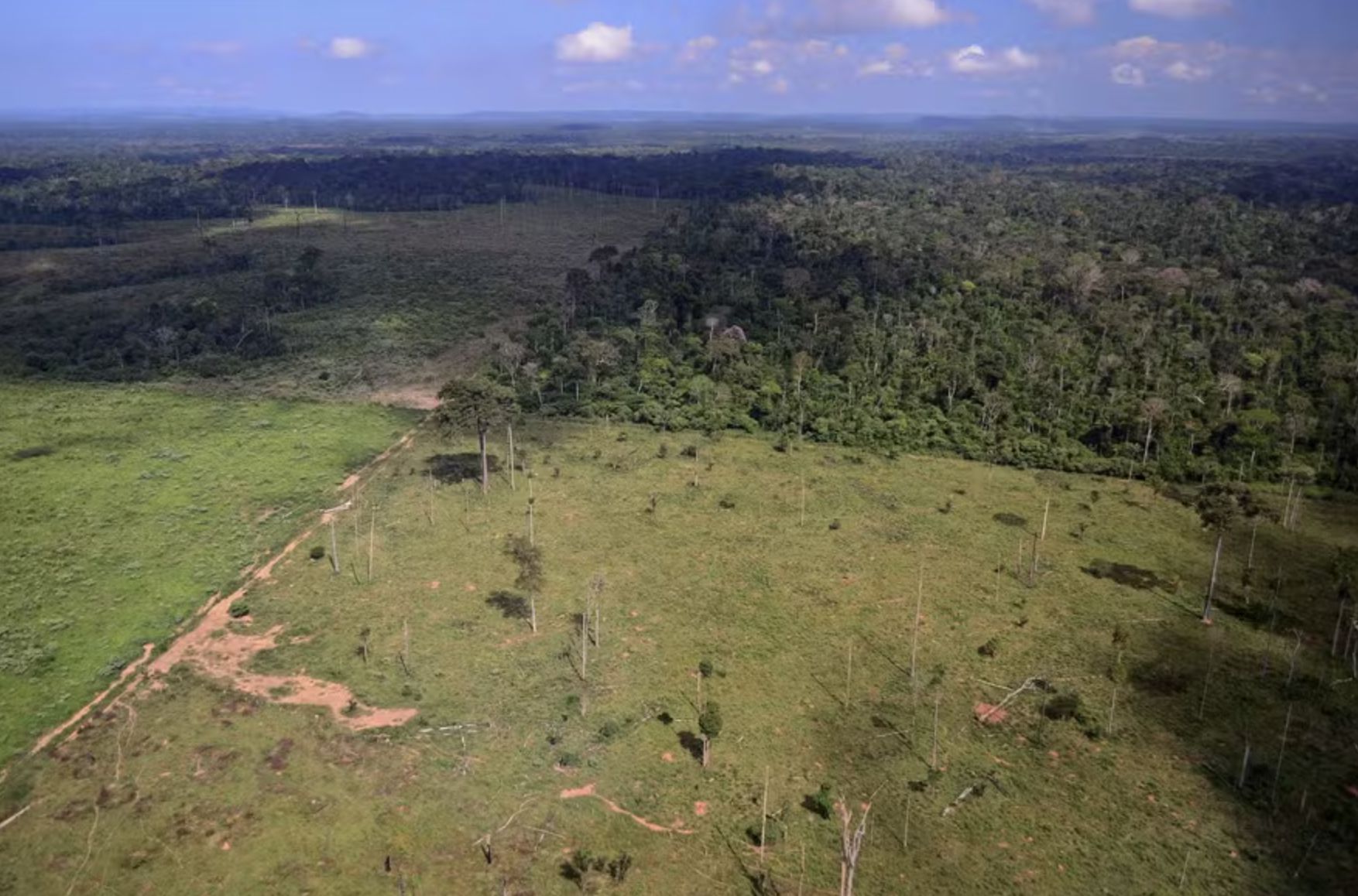 pecuarista-e-condenado-a-pagar