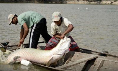 pesquisa-inedita-com-genoma-pr