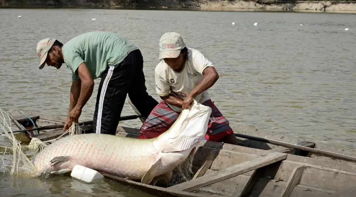 pesquisa-inedita-com-genoma-pr