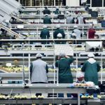 previa-do-pib-interrompe-serie