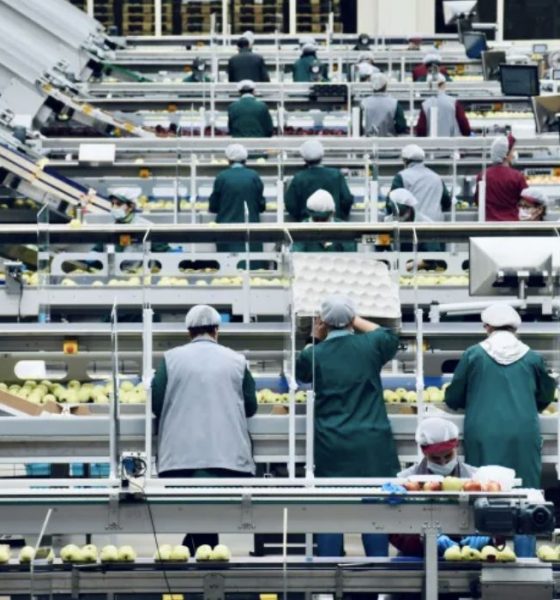 previa-do-pib-interrompe-serie