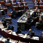 saiba-o-que-diz-a-constituicao