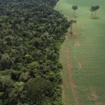 varejistas-europeias-pressiona