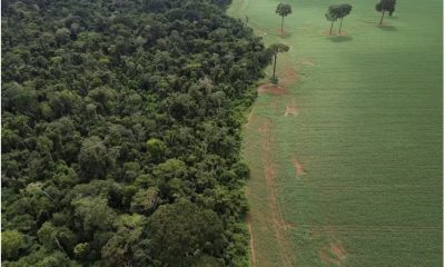 varejistas-europeias-pressiona