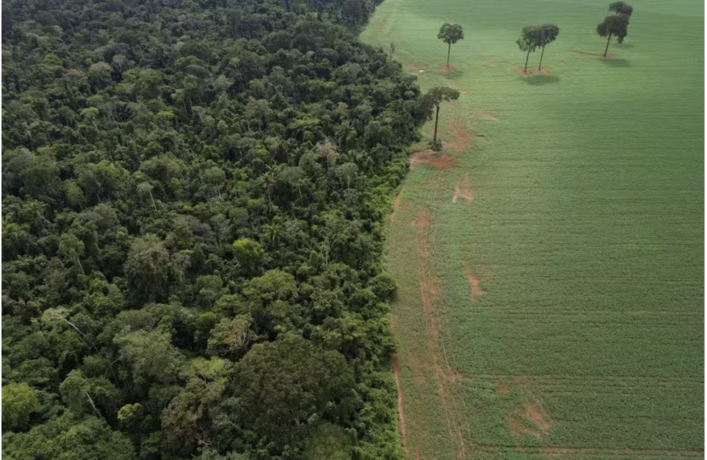 varejistas-europeias-pressiona