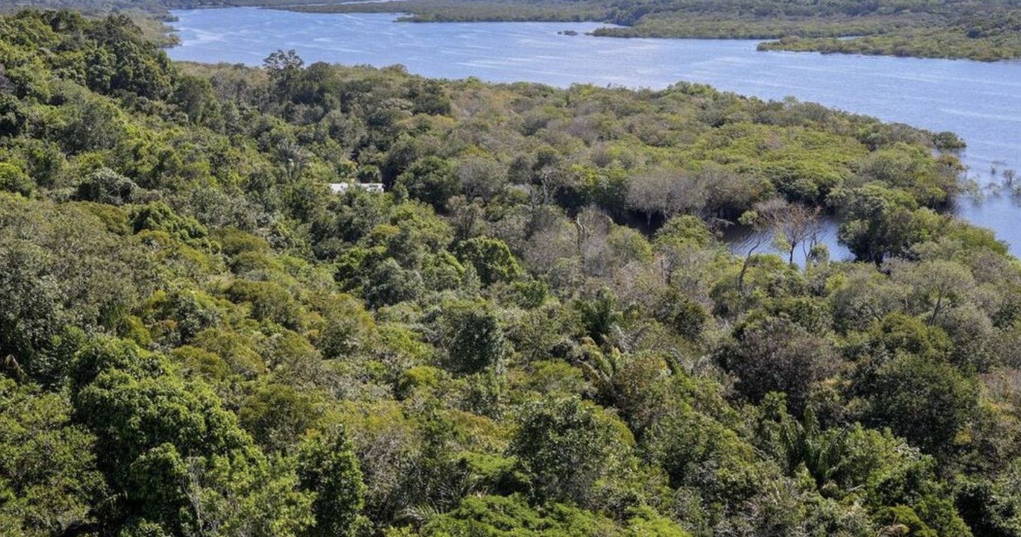 amazonia-legal-concentra-quase