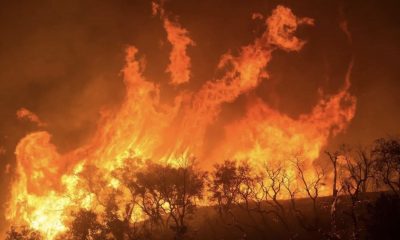 amazonia-registra-maior-numero