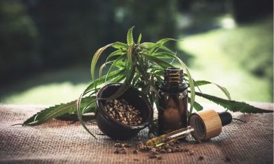 anvisa-fixa-requisitos-para-cu