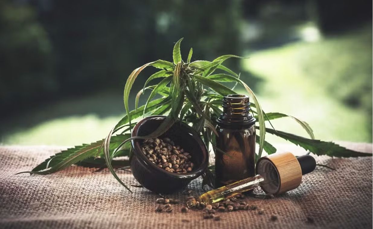 anvisa-fixa-requisitos-para-cu