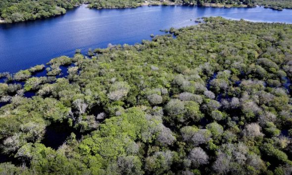 areas-sob-alerta-de-desmatamen