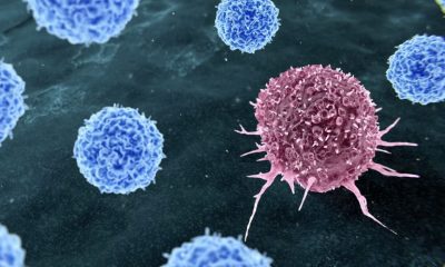 brasil-deve-registrar-781-mil-