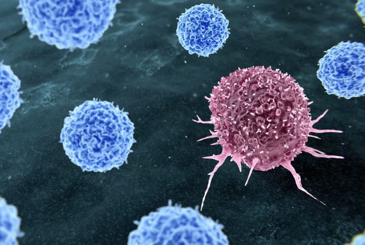 brasil-deve-registrar-781-mil-