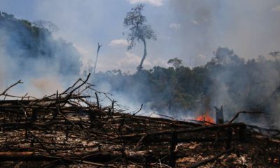 brasil-tem-4-571-focos-de-ince