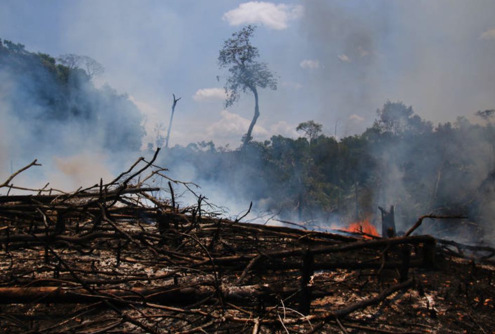brasil-tem-4-571-focos-de-ince