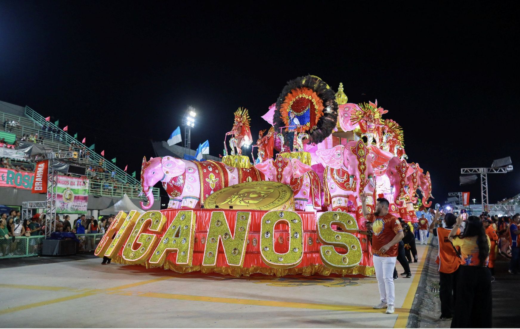 campeas-do-carnaval-de-manaus-
