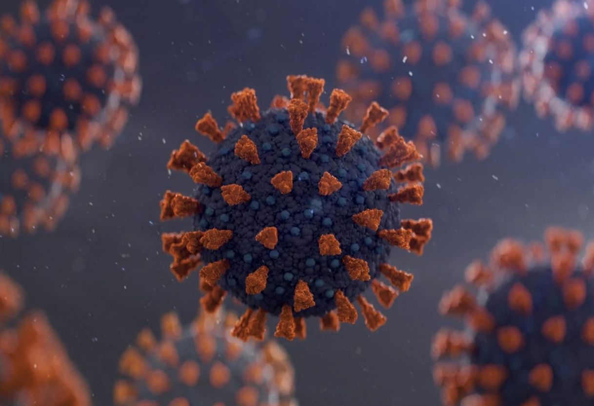 covid-marca-6-anos-no-brasil-c