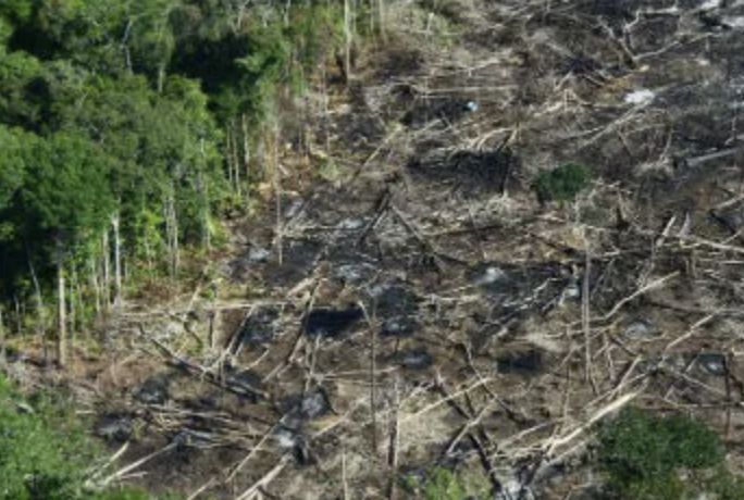 desmatamento-altera-fluxo-de-c